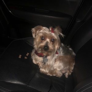 Meet your Posher, Stacey